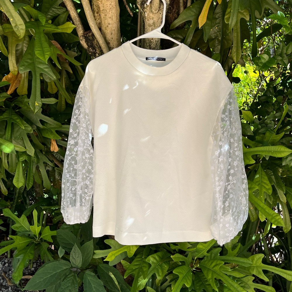 Translucent Sleeved Blouse